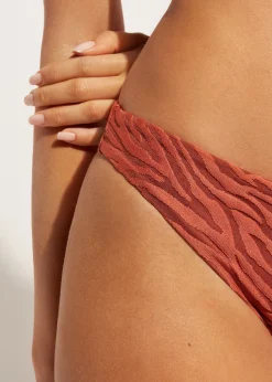 Women Calzedonia Istanbul Zebra Print Bikini Bottoms
