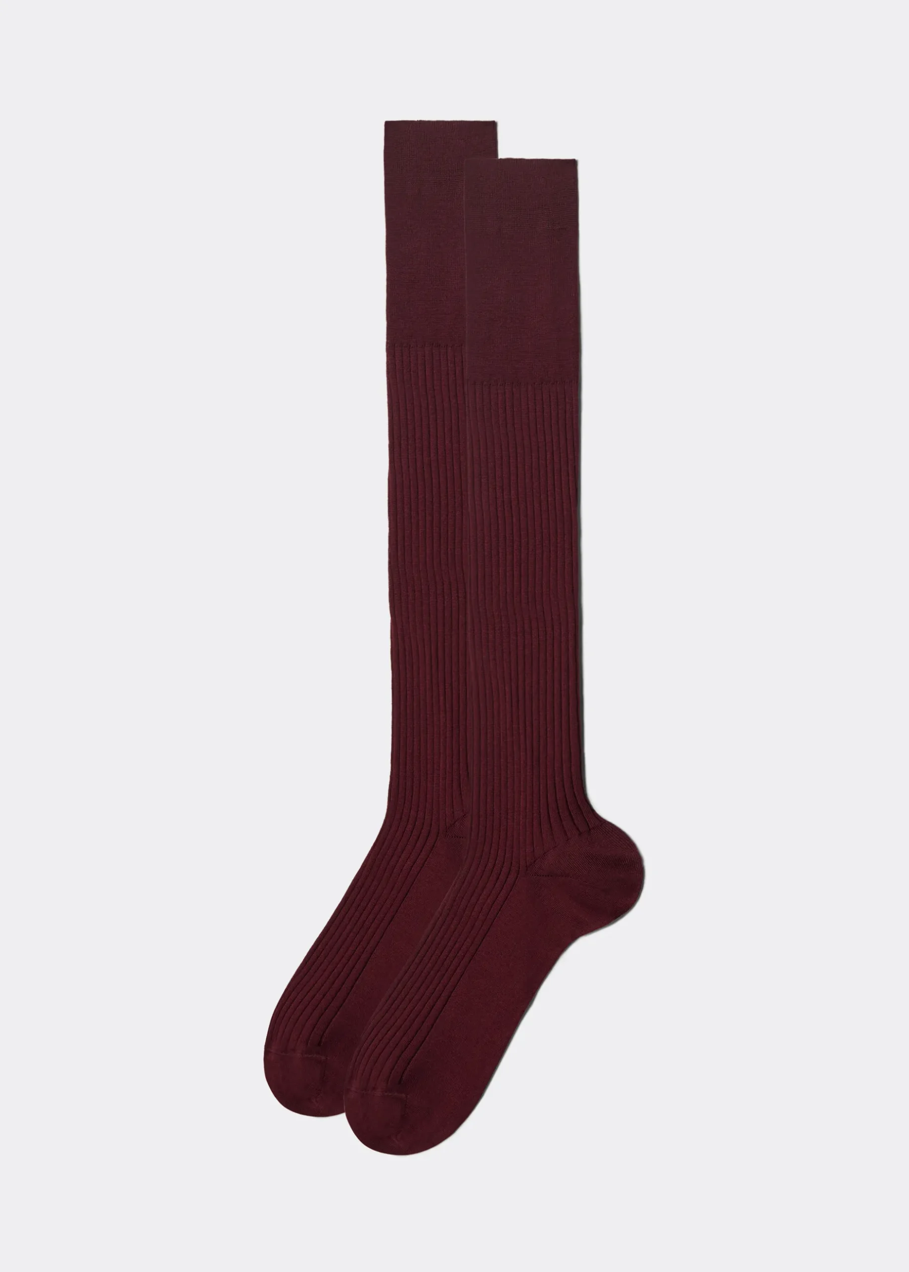 Men Calzedonia Men's Long Ribbed Lisle Thread Socks
