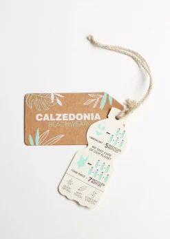 Women Calzedonia Slide Triangle Bikini Top Indonesia